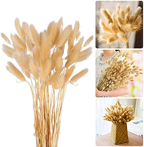 Buquês de flores secas de caudas de coelho 30 peças erva de ampa natural para decoração de casa de casamentos em interiores