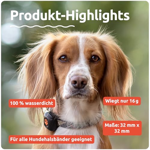 PitPat Aktivitäts & Fitness Tracker für Hunde (ohne GPS) – kein Aufladen oder Abo erforderlich – Geeignet für alle Hunde und Halsbänder – Intelligenter Haustier Aktivitätstracker – 100 % wasserdicht