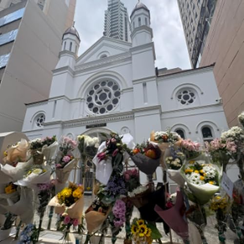 Sea of flowers growing at Brisbane synagogue; Premier won't support all gun reform options; And Brisbane koala going viral after bus ride