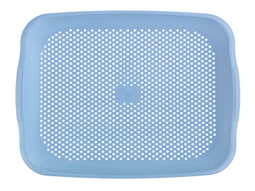 WENKO Tamis d'évier Shari, tamis d'égouttage et planche à découper pour l'évier, pour un travail propre et hygiénique dans la cuisine, utilisation polyvalente, 36,5 x 3 x 27 cm, bleu Cover