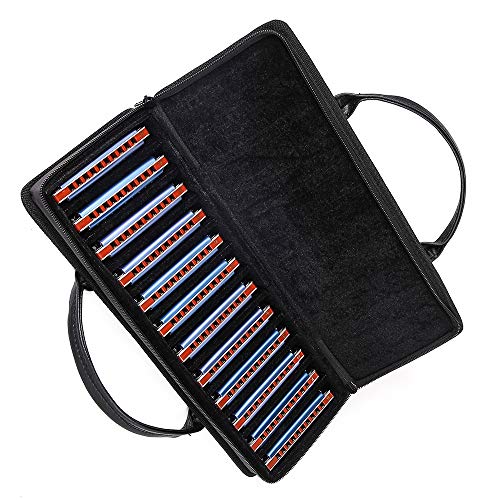 Harmonica diatonique 20 tons bleu : le set complet sans limites