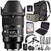 Sigma 35mm f/1.4 DG HSM Art Lens for Sony E Mount Cameras w/Advanced Photo and Travel Bundle