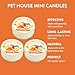 Pet House Mini Candles for Pet Odor Made with Natural Soy Wax, Plant Based, Dog and Cat Friendly Scented Candles, Mango Peach Pack of 3