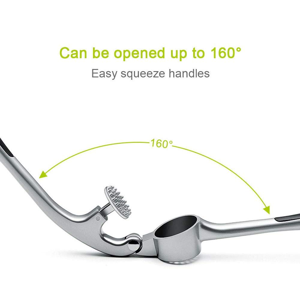 Presse-ail Avec Grande Trémie, Broyeur D'ail Sans Effort Pour écraser L