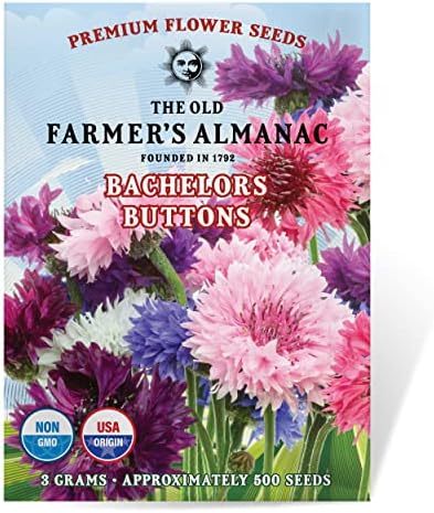 The Old Farmer's Almanac Bachelors Buttons Seeds - Approx 500 Flower Seeds - Non-GMO, Premium, Open Pollinated