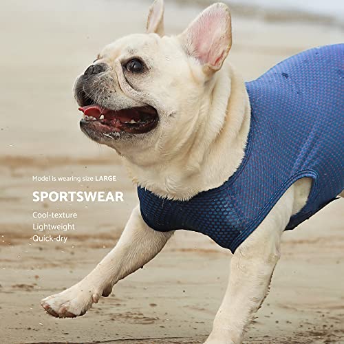 Fitwarm 2 Pack Quick Dry Dog Cooling Vest, Athletic Summer Dog Clothes For Small Dogs Boy Girl, Sun Protection Pet Shirt With Reflective Label, Breathable And Stretchy, Neon Orange, Royal Blue, Small #TOP1