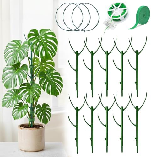 Monstera Plant Support Stakes Indoor - 10 Pack Stackable Garden T...