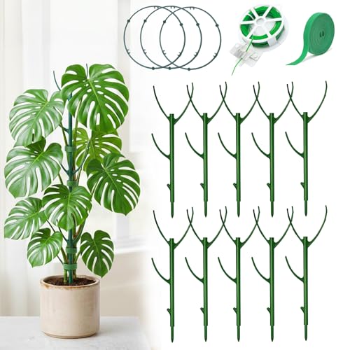 Monstera Plant Support Stakes Indoor - 10 Pack Stackable Garden Trellis for Potted Climbing Pothos Support - Durable All-in-One Tall Plant Sticks Pole for Modern Home Gardening (10 Pack)