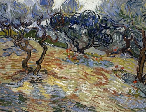 Peinture d'Art Murale Oliviers de Van Gogh Toile Épaisse 60x90cm
