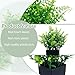 GREENTIME 4 Pack Fake Plants in Black Pot Mini Artificial Eucalyptus Potted Plant Small Faux Grass Greenery Potted for Indoor Home Office Farmhouse Bathroom Table Decoration