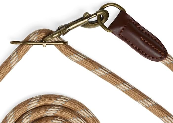 Reddy by Petco Hands-Free Rope Leash for Dogs Tan 9-ft Long 5/8-in Wide