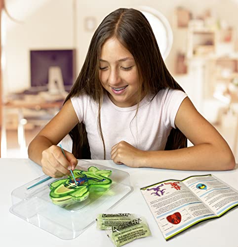 Dissect-It Plus Upgraded Frog Dissection Toy Kit, Realistic Lab Experience, No Use Of Real Frog! No Odor, Squishy Gelatin, Stem Projects, Animal Science & Anatomy Home Learning For Kids, Boys, Girls #TOP6
