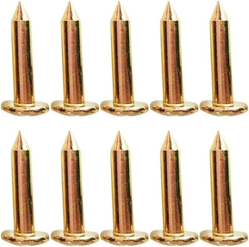 Clavos multiusos de acero, 10 piezas por set, mediciones 3, 5, 7, 8 y 10 cm, marcadores de límites para levantamientos miniatura 1