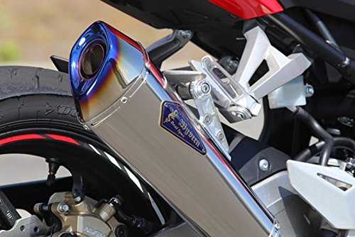 Amazon.co.jp: アールズギア ワイバン リアルスペック スリップオン