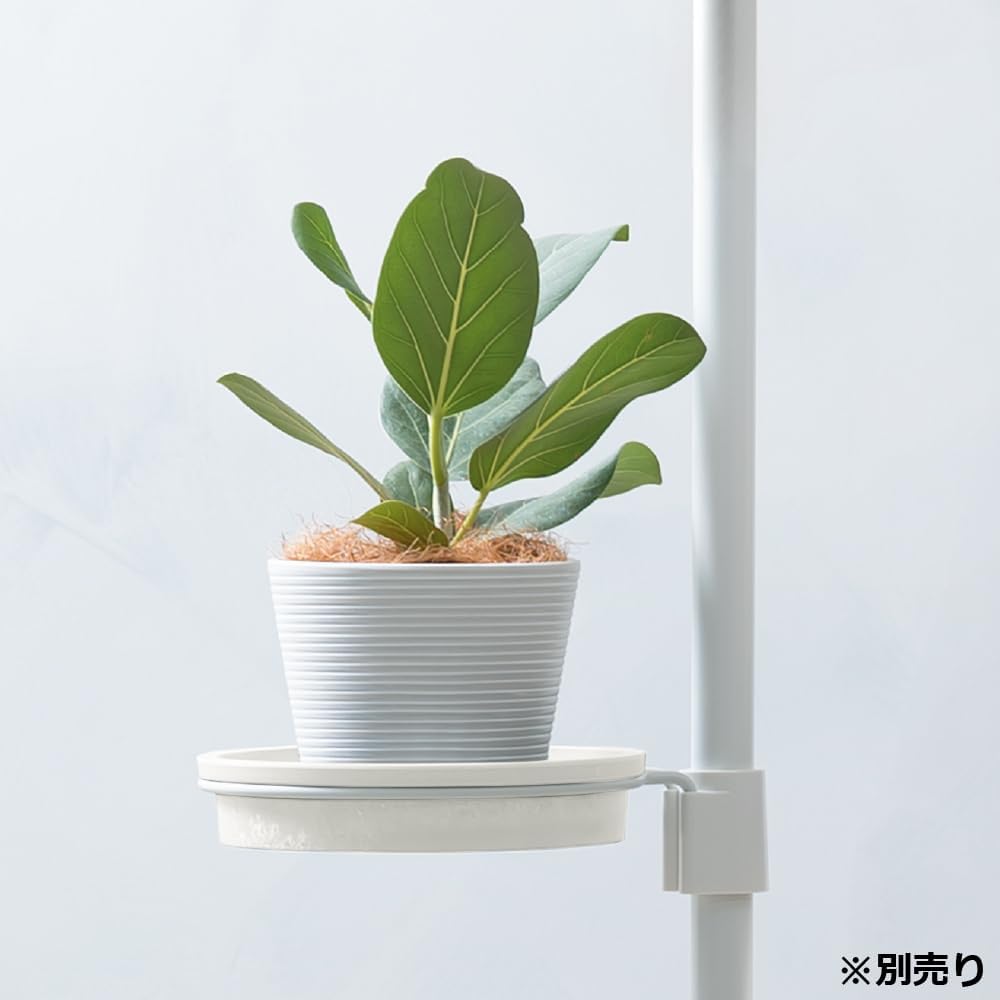 Richell Botany Rolling Hanging Pole, Black