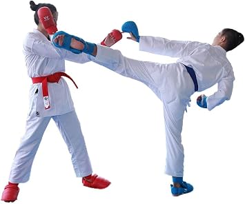 Wesing Karate Protective Gears Set with Chest Guard Gloves Groin Protection and Shin Instep Guard for Men