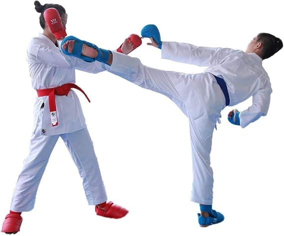 Wesing Karate Protective Gears Set with Chest Guard Gloves Groin Protection and Shin Instep Guard for Men