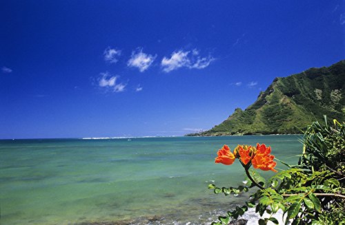 USA, Hawaii, Oahu, Clear Coastline With Bright