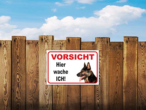 AdriLeo Schild - Vorsicht Deutscher Schäferhund - Hier wache ich - (15x20cm) / Achtung Hund Wachhund robust langlebig UV-beständig wetterfestes Warnschild