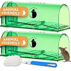 Diervriendelijke Muizenval voor Binnen Buiten – Meest Eenvoudig en Hooggevoelig – Levend vangen en vrijlaten – Herbruikbaar – Huisdier vriendelijk – Simpel Schoon te maken