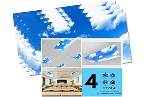 4 Pack Light Covers for Classrooms and Offices - Fluorescent Light Covers 2x4 Sky Clouds