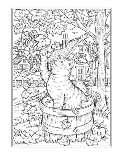 Creative Haven Autumn Harvest Coloring Book