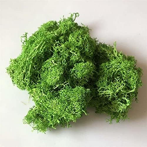 Zamihalaa 30g/Bag Dry Natural Fresh Moss,Real Eternal Dried Grass for DIY Decorative Preserved Flowers Accessories,Artificial Turf,Bonsai