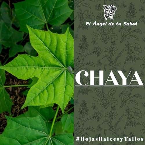 El &Aacute;ngel de tu Salud - Chaya** Podcast Por  arte de portada