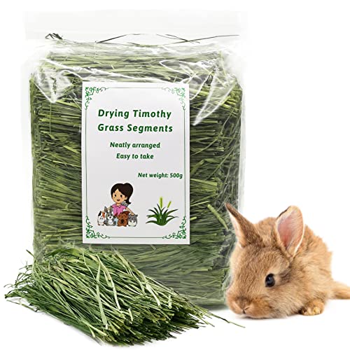 Fhiny Guinea Pig Timothy Hay, 1.1 Lb Premium Natural Fresh Hay Small Animal Chew Grass for Rabbit Guinea Pig Chinchilla Hamster