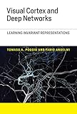 Visual Cortex and Deep Networks: Learning Invariant Representations (Computational Neuroscience Series)