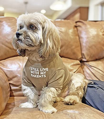 Bundle: Dog T Shirt For Small Dogs (L-(10~17Lb), Chest~18", Khaki) + 8Ct 3" Pet Bow Hair Clips #TOP1