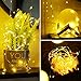 Govee Christmas Decor Rope Lights, 16.4 Feet LED Fairy Lights 2 Pack, 50 LEDs Waterproof Flexible String Lights Battery Operated for Bedroom Home Wedding Christmas Festivals Warm White