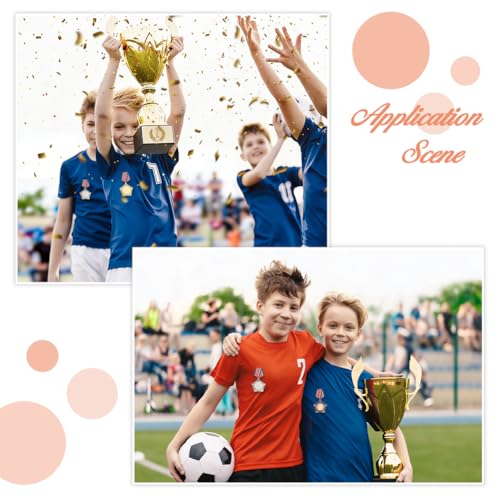 DICOSMETIC 3Pcs 3 Colors Military Medals Badge Award Honor Medal Pins Gold Silver Bronze Award Medals Badge for Competition Sports Costume Military Badges for Uniform Costume