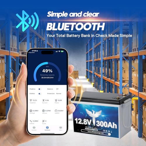 12V 300Ah LiFePO4 Lithium Battery, Bluetooth LiFePO4 Battery.Built-in 200A BMS,Max.3840Wh, 4000-15000 Deep Cycles & 10-Year Lifetime, Perfect for Off-grid Solar Home System, RV, etc