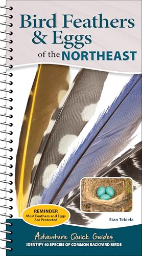 Bird Feathers & Eggs of the Northeast: Identify 40 Species of Common Backyard Birds (Adventure Quick Guides)