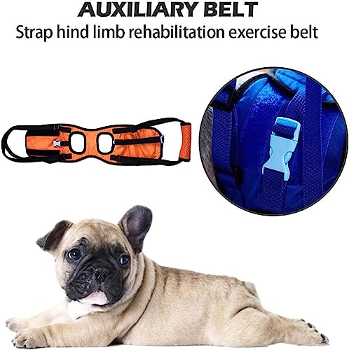 Chien pattes faibles ? Élingue de rééducation et harnais CUSMA - 3