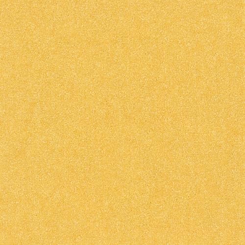 z^CJ[ybg ak270 (R) t@ubNtA A^bN270 g[Ή 􂢂ł h h_j L 40×40cm 10 AK2718ipCj