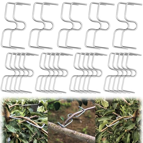 30 Piezas Separadores de Ramas de Àrboles Frutales,8/10CM Galvanizado Esparcidor de Ramas Forma de M para Regular la Dirección de Crecimiento de las Ramas de los Àrboles Frutales