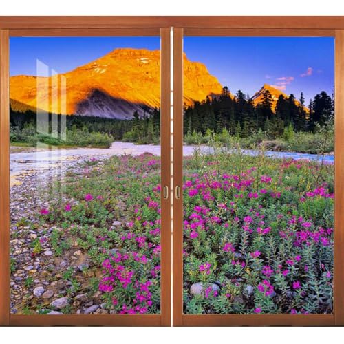 F KXtB sÑccWƎR ptB KXtB ډBV[g vCoV[ی tB KXUh~V[g fMtB UVJbg \蒼\ KX  40cm×80cm×2g