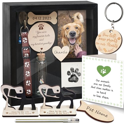 8.6'' Pet Memorial Shadow Box with Collar Holder
