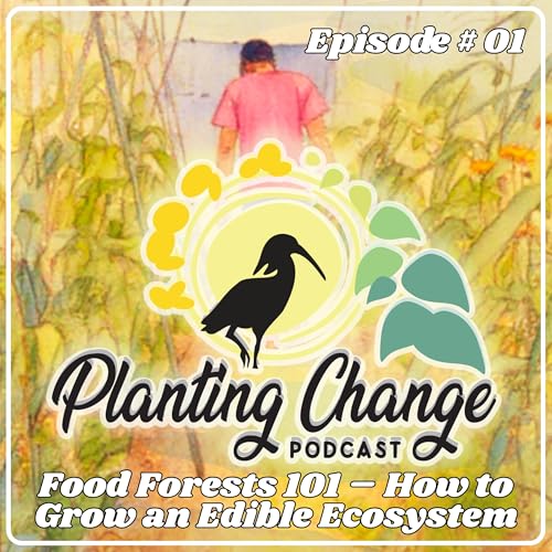 Food Forests 101 &ndash; How to Grow an Edible Ecosystem