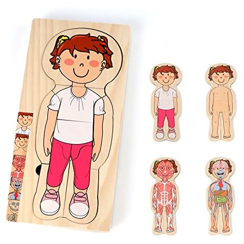 KABENFIS 29 Piece Girls Anatomy Play Set wooden Body Puzzle for Kids Boys and Girls Cover