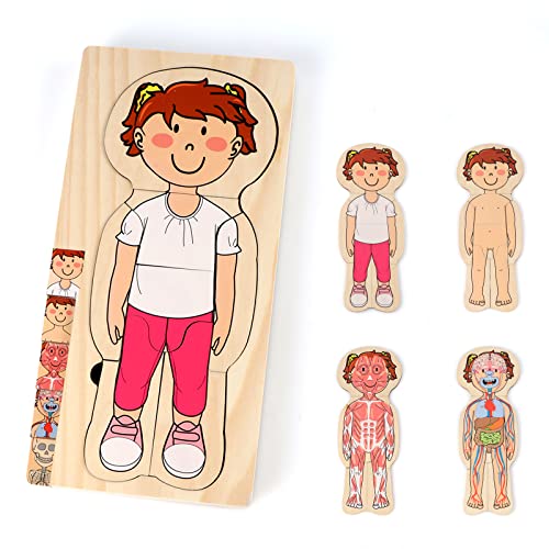 KABENFIS Juego de anatomía para niñas de 29 Piezas Rompecabezas de Cuerpo de Madera para niños y niñas