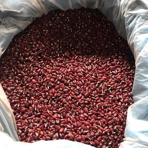 semillas orgánicas de frijol azuki Comprar semillas de hortalizas de invierno orgánicas semillas de frijol rojo cultivo de plantas, semillas de frijol plantas verdes plantas de 200pcs