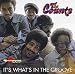 It's What's in the Groove