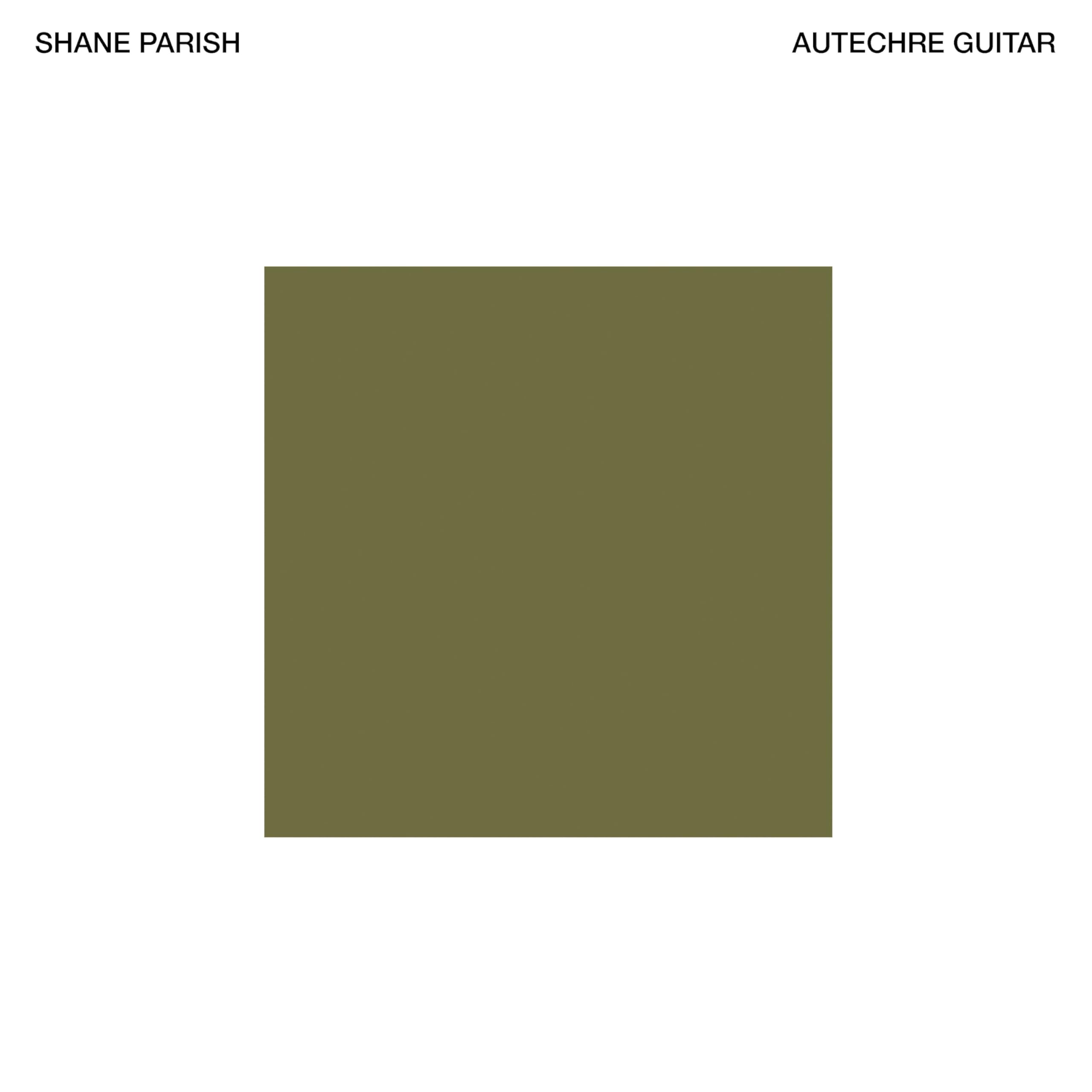 Autechre Guitar [VINYL]
