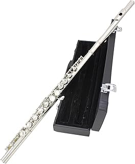 16 Closed Open Holes C Flute Cupronickel Silver Plated Concert Flute Instrument Transversal With E Key Box flute instrument