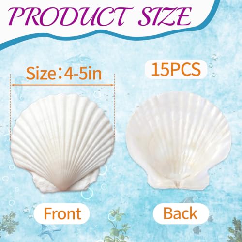 Image of QICQDRAM 25PCS Seashells for Crafts 4''-5'' Scallop Shells for Painting