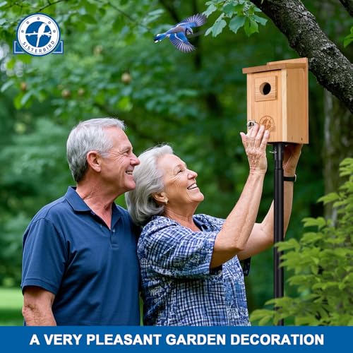 Bluebird-Houses-for-Outside-Blue-Bird-Houses-for-Outdoors-Premium-Bird-House-Pack-of-2-Bluebird-House-Wooden-Birdhouses-Kits-for-Adults-for-Durable-Yard-Decor Bluebird Houses for Outside Blue Bird Houses for Outdoors Premium Bird House Pack of 2 Bluebird House Wooden Birdhouses Kits for Adults for Durable Yard Decor