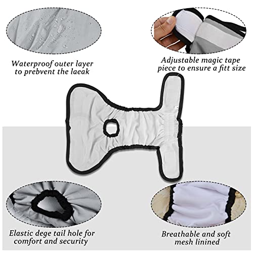 Andiker Pannolini per cani, riutilizzabili per